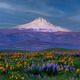 Mt Hood and Spring Flowers