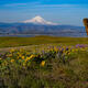 The Ranch at Columbia Hills
