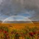 Double Rainbow