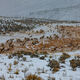Elk Park
