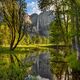 Yosemite Falls Reflection