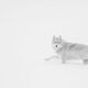 The Gray Ghost Yellowstone Wolf