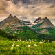 Summer Sky and Bear Grass
