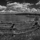 Harriman Wide View