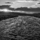 3 dollar sunset- Black&White