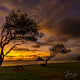 Mokolii beach Sunset Breeze