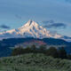 Mt. Hood from the Hood River Valley