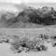 Red Rock Canyon Snow Photography Print