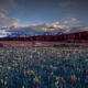 Sawtooth Spring Evening