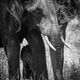 Shelter in place with mom
