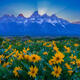 Teton Sweet Summer Evening