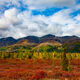Tundra Birch Hills