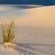 Glowing Sand