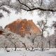Zion Snow Park