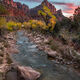 Autumn Evening over the Virgin River vertical  at Zion﻿ ﻿in the the American Southwest