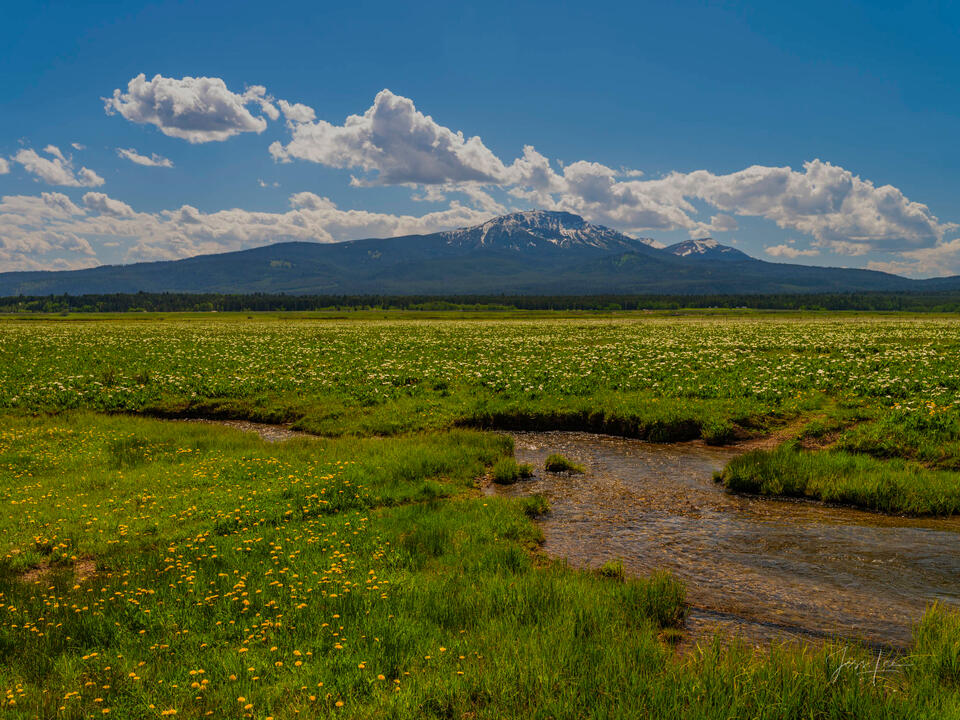 Salmon River Headwaters print