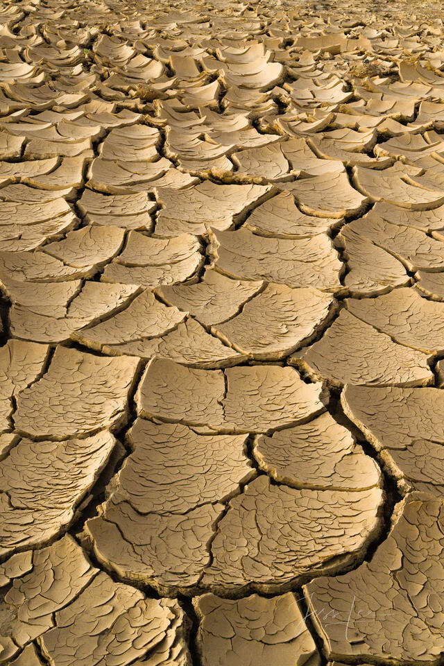 Desert mud crack picture