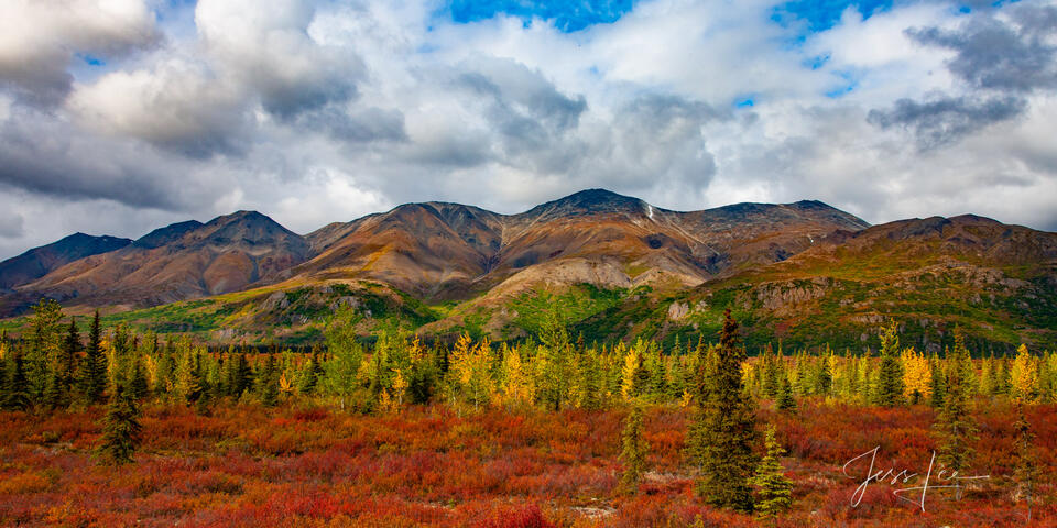 Alaska Range Fall Color print