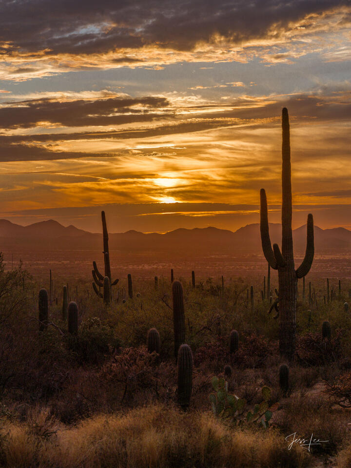 Arizona Desert Luxury Print print