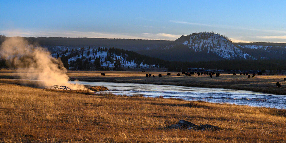 The Fish Are There — Firehole River, Yellowstone at Dusk print