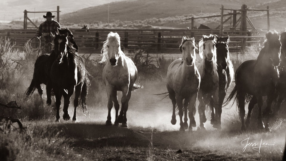 Get back here! print