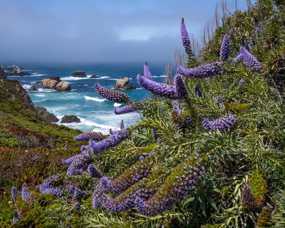 California Coast Photo #14 print