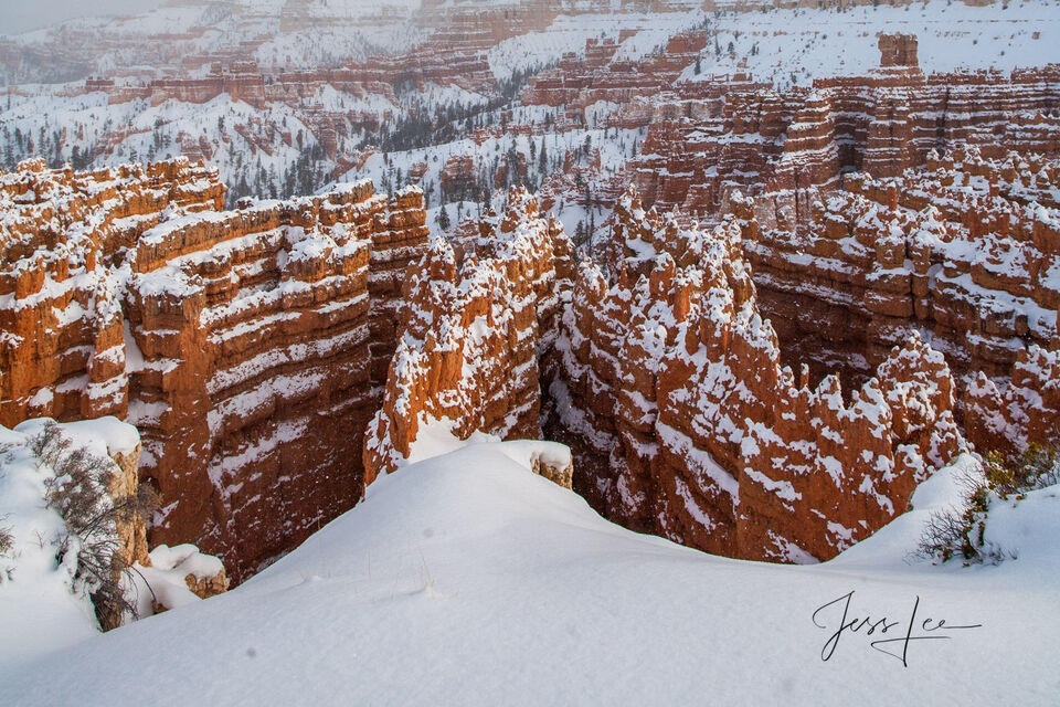 Bryce Canyon Ridges print