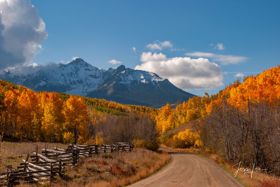 Autumn Road print