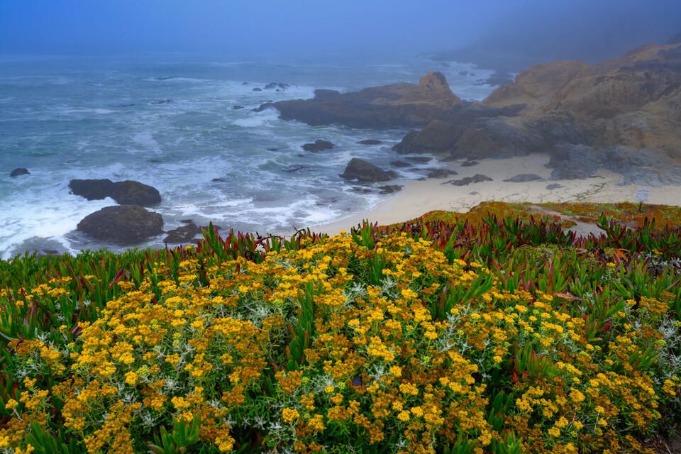 California Coast Photo #18 print