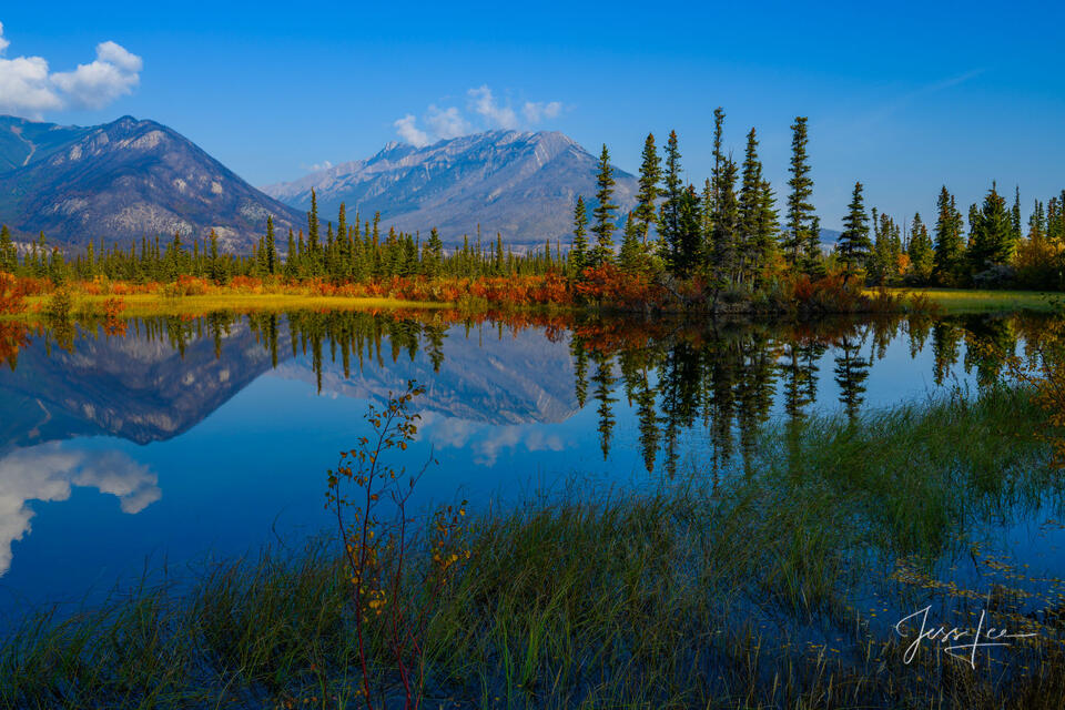 Athabasca Pond print