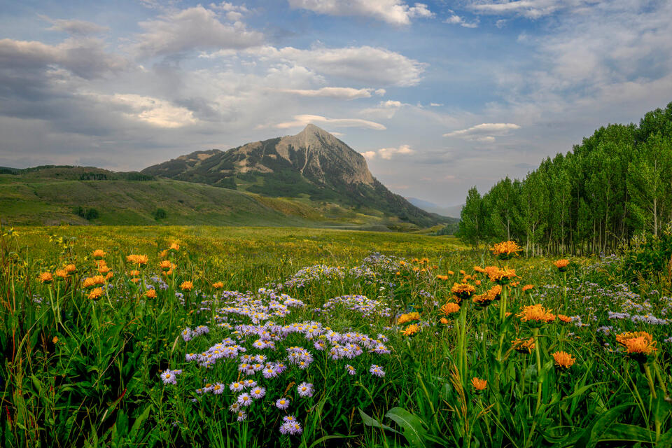 Morning-Mountain-Magic print