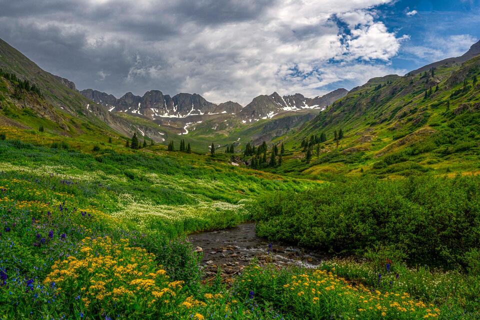 American Basin Summer print