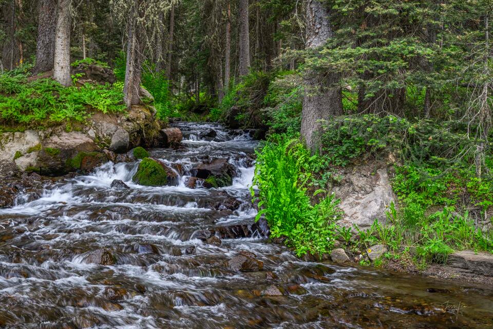 Summer Stream print