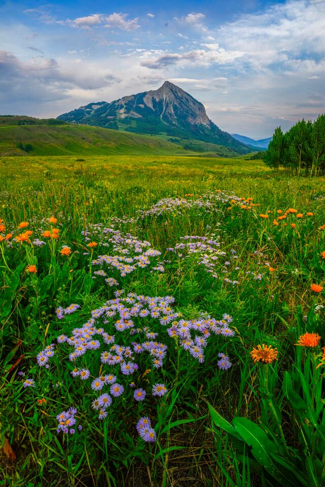 Mountain Morning Magic Vertical print