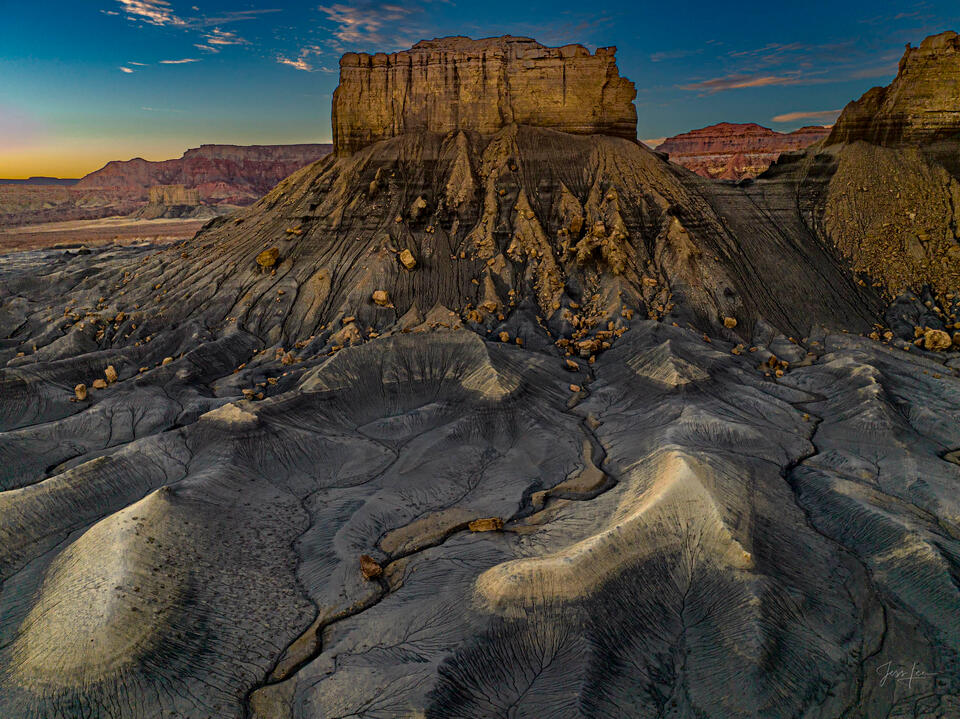 Large Format Prints by Jess Lee