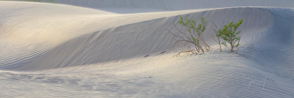 Death Valley Photography Print Dune, california, photos, prints,