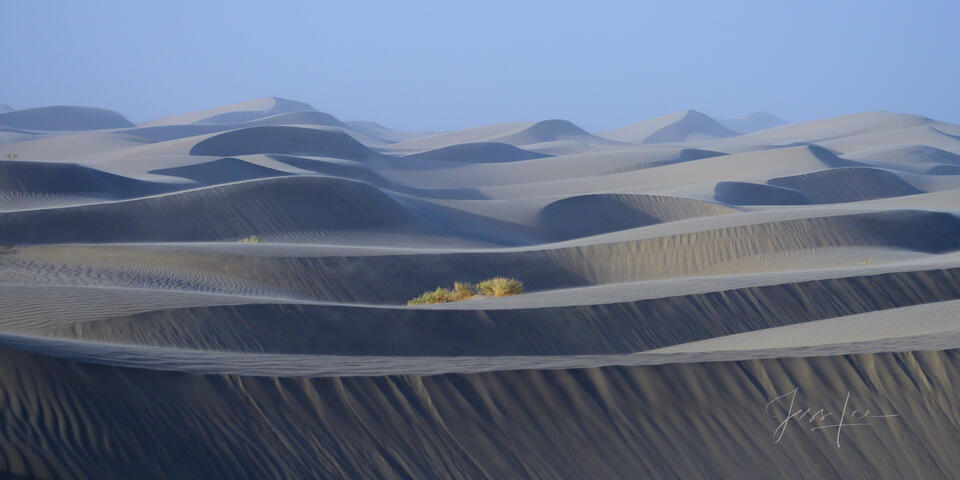 Death Valley Photography Print Blue Dune