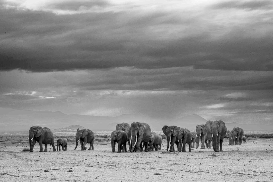On the Move print
