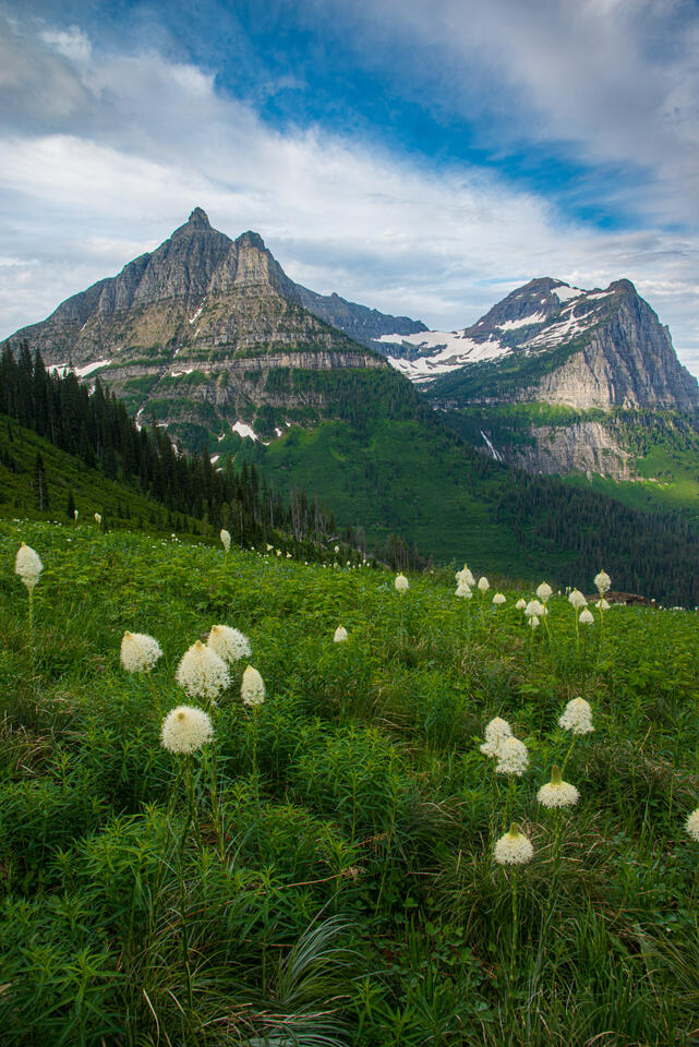 Glacier Park Photos, Montana Photography, Beautiful Nature Photography