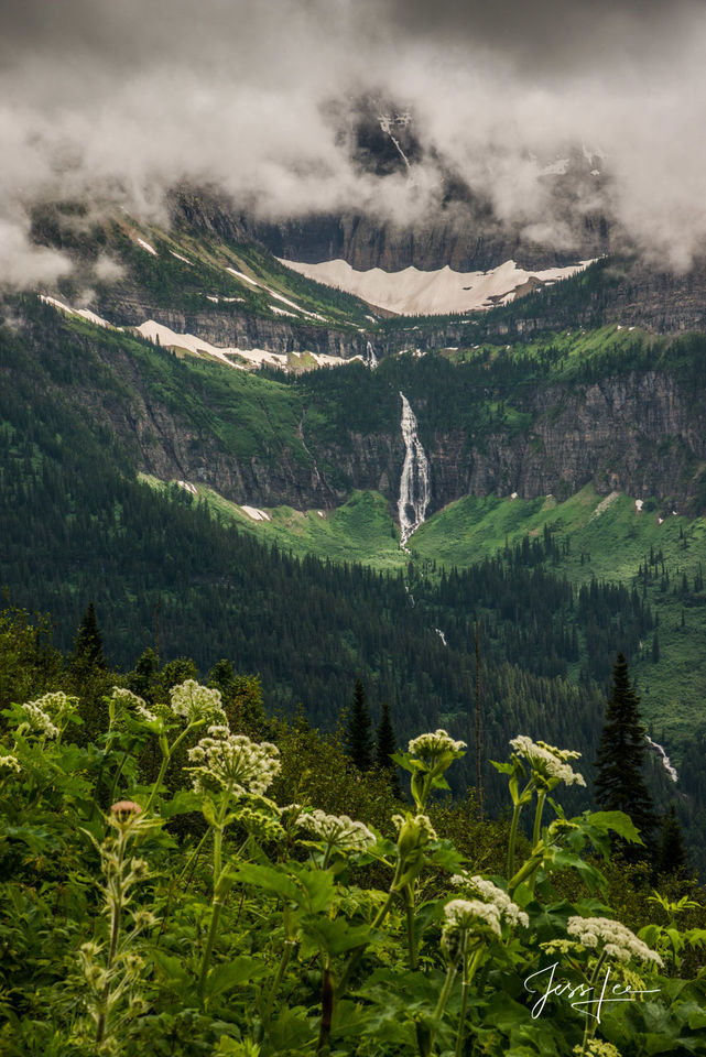 Bear Grass Falls print