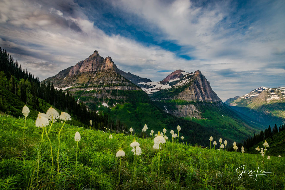 Bear Grass Glacier  print