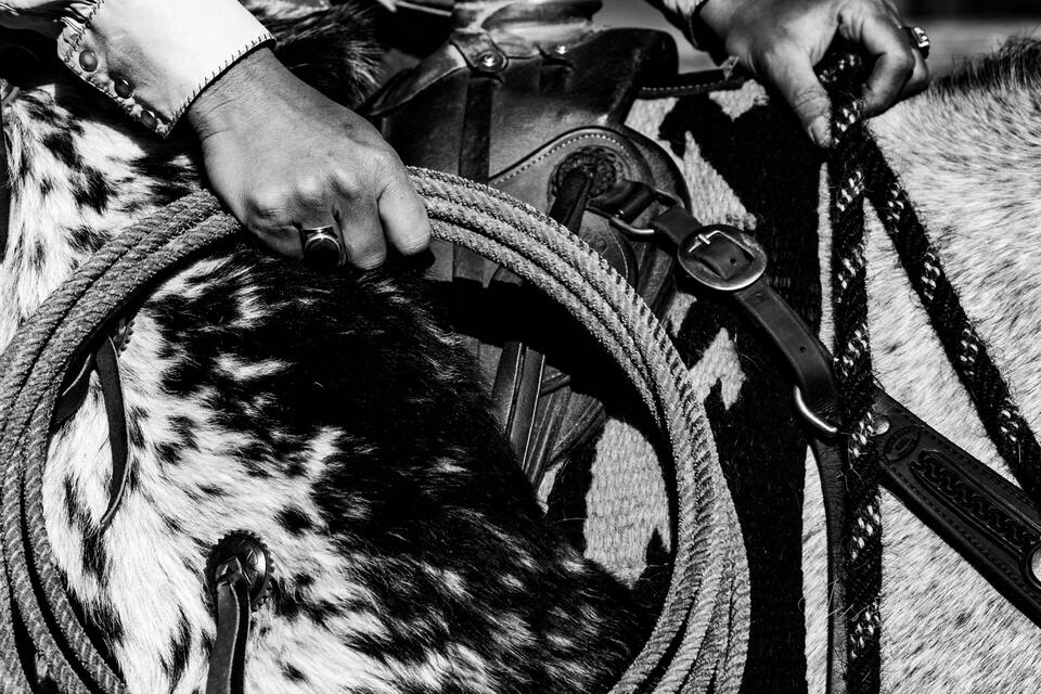 Horse and Rope print