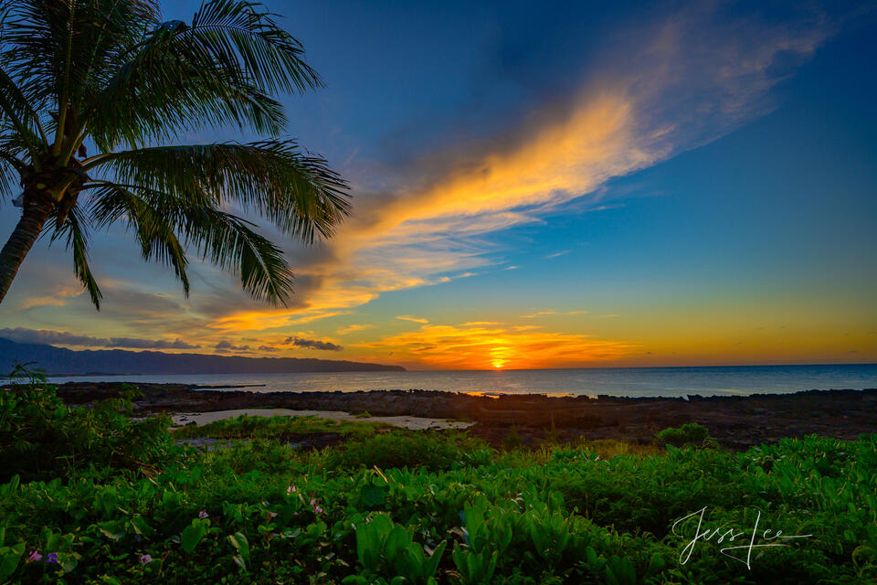 Island Sunset print