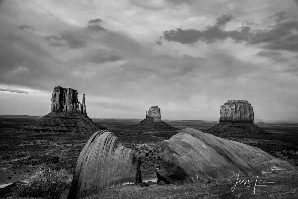 Into the Mittens Photograph in Black and White