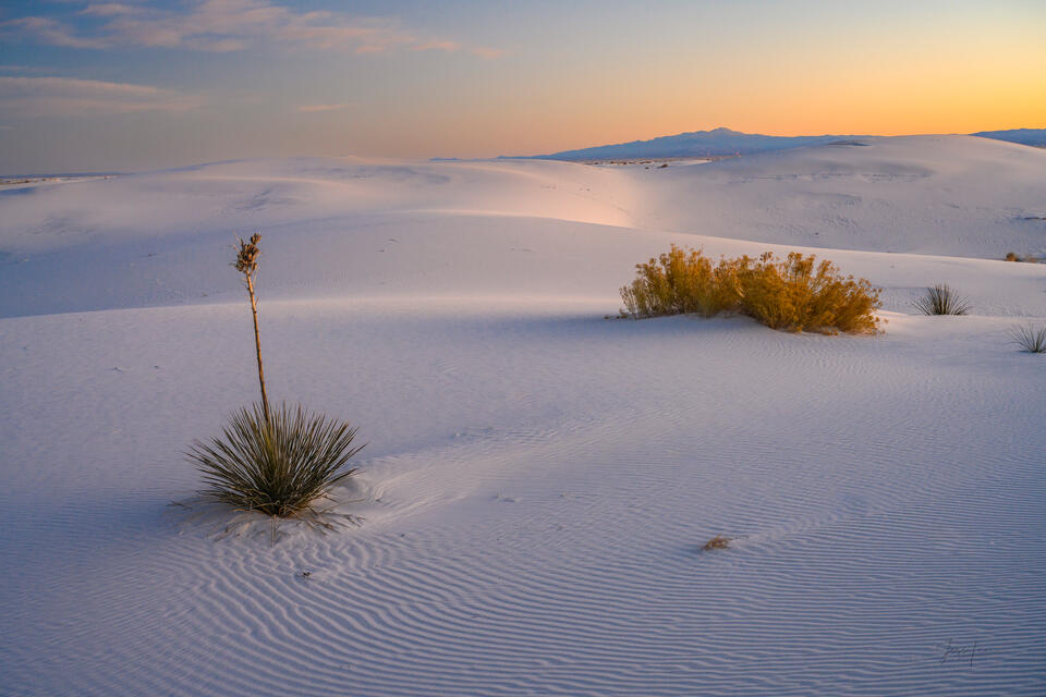 Glow of the Desert print