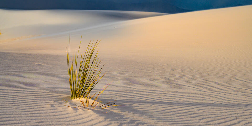 Fine art landscape photography print of pristine, wind-rippled white sand dunes in White Sands National Park, New Mexico,