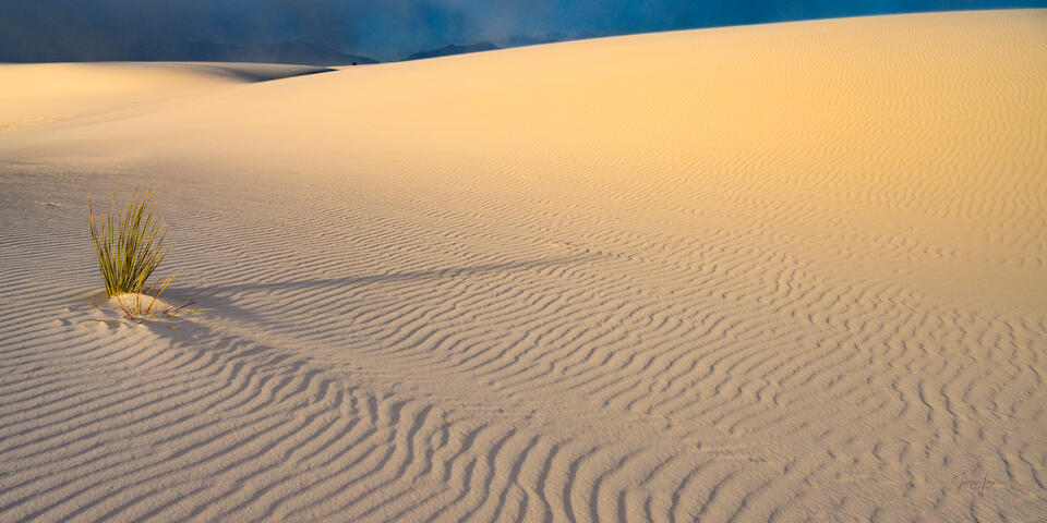 Luxury photography wall art of the New Mexico desert. A minimalist landscape photograph showing the clean lines and textures of pristine white sand dunes