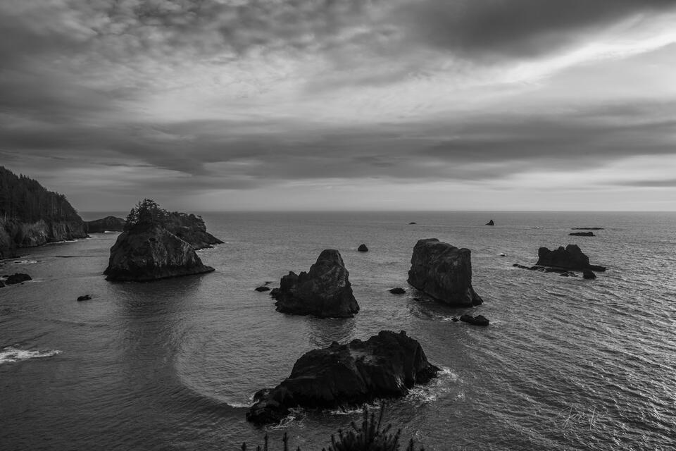 Shades of the Oregon coast in Black and White