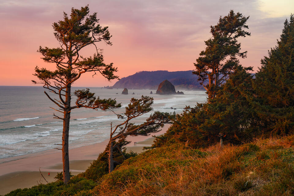 Cannon Beach Park Sunset print