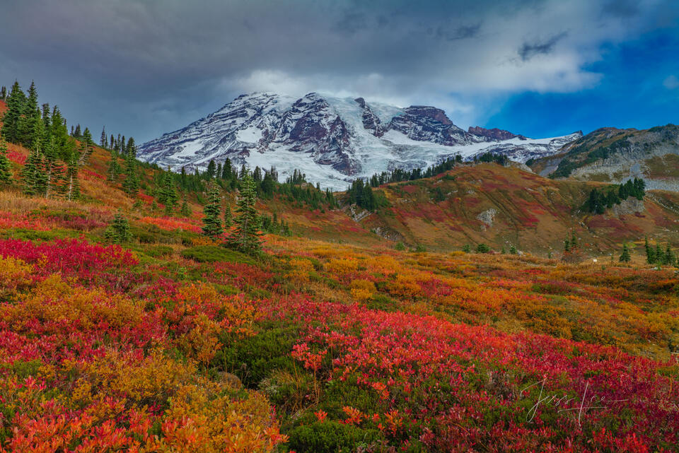 Fall color on Paradise print